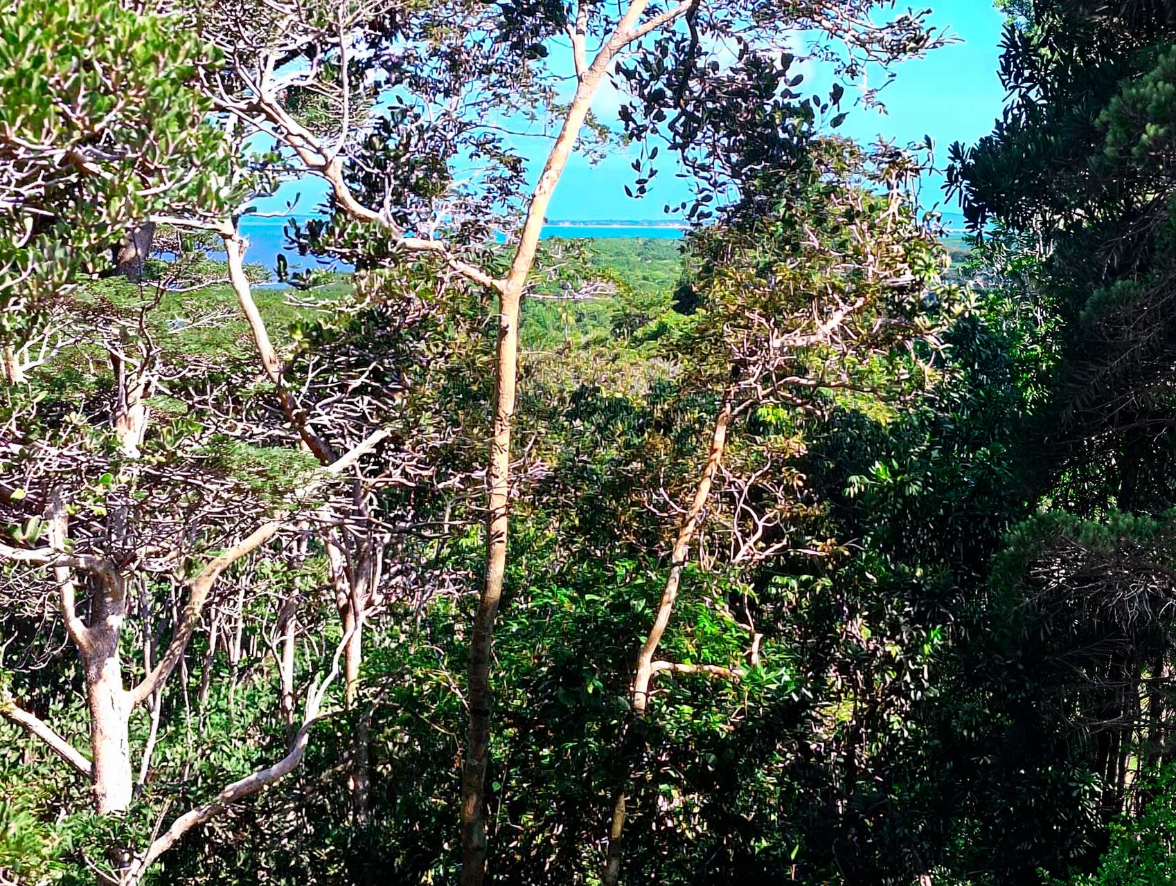 Terreno Vista Mar — rural sea-view land parcel in Santo André, Bahia